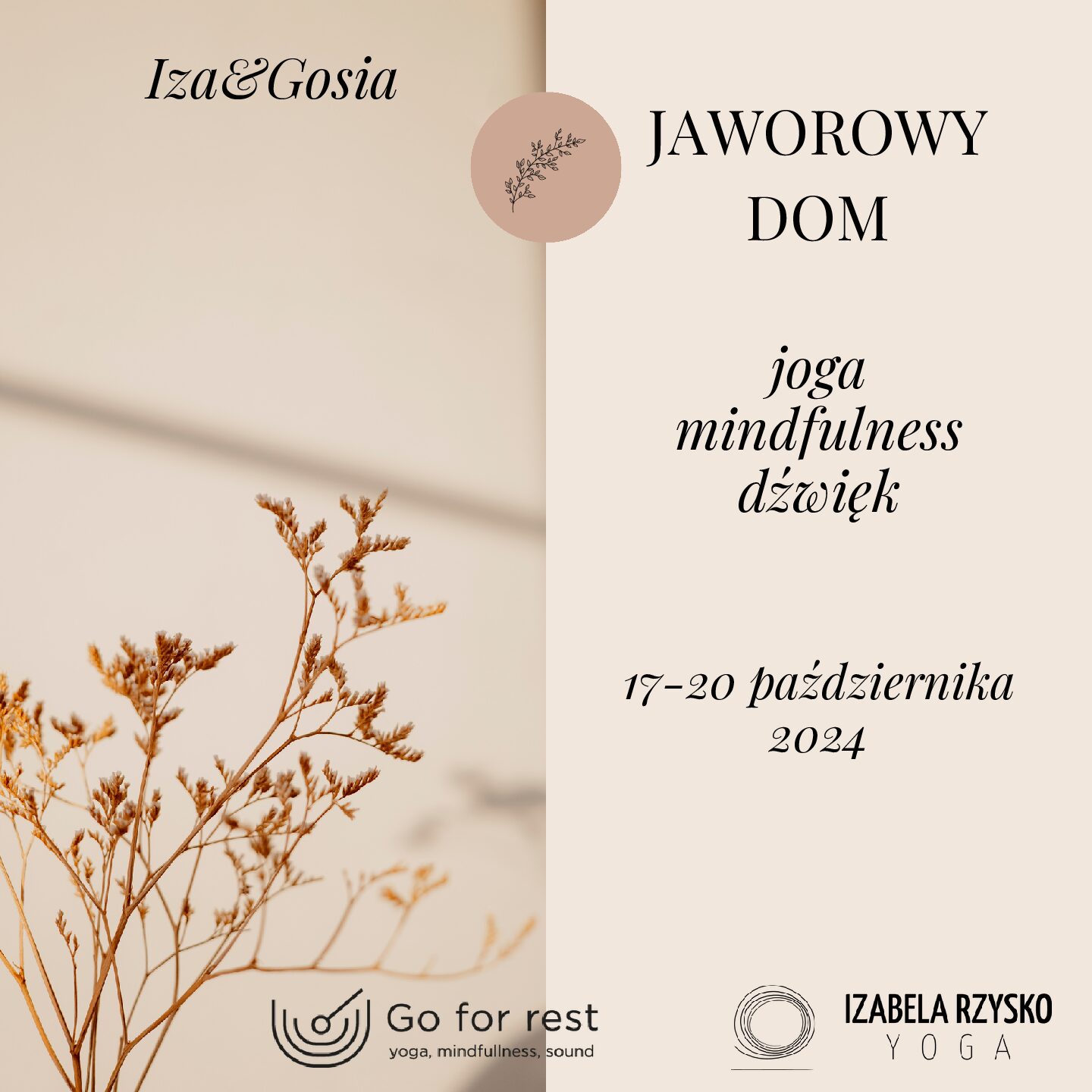 Read more about the article JAWOROWY DOM