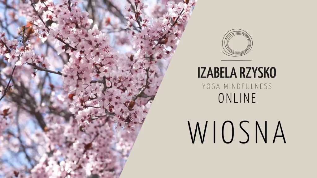 Zbliżenie różowych kwiatów wiśni na gałęzi drzewa po lewej; po prawej beżowe tło z logo i tekstem: Izabela Rzysko Yoga Mindfulness Online Wiosna.